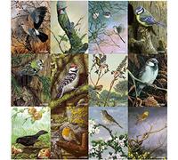 Dick Twinney Lot de cartes de vœux Motif oiseaux britanniques