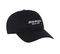 Dickies - Casquette de baseball tous les jours - Adulte (FS11899)