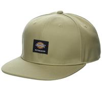 Dickies Casquette Plate pour Skateboard Capuchon, Beige, Taille Unique Homme