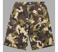 Dickies Eagle Bend Bermuda Cargo Homme Shorts Utilitaire Travail Tasconi