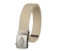 Dickies Fabric Web Plaque Logo Buckle Belt-One Cut Fits Up to Size 42" Waist Ceinture, Peau, Taille Unique Homme