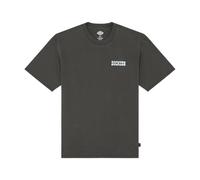 Dickies, Homme, Tops, Noir, Taille: L Buchtell SS Tee