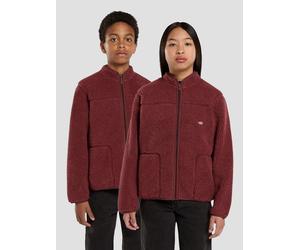 Dickies Mount Hope Kids Veste polaire rouge M