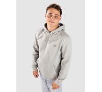 Sweat-shirt hommes Dickies OAKPORT HOODIE Gris EU L