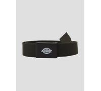 Dickies Orcutt Ceinture vert Uni