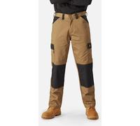 Dickies - Pantalon de travail - Homme (FS9200)