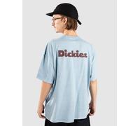 Dickies Slayden Gd T-Shirt bleu L