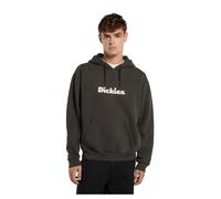 Dickies Sweat à Capuche Slayden Gd