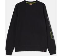 Dickies Sweat-shirt pour homme Okemo Graphic Sweatshirt (Bci) Black S