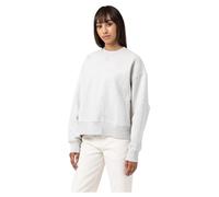 Dickies Sweat-shirt Summerdale