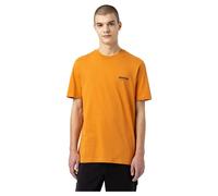 Dickies Artondale Box Short Sleeve T-shirt Jaune S Homme