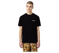 Dickies T-shirt à Manches Courtes Artondale Box