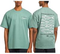 Dickies - Tee-shirt décontracté en coton - Laryville Tee SS Sea Spray pour Homme en Coton - Taille XL - Vert Vert XL