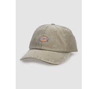 Dickies Uni