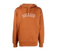 Dickies - Union Springs Sweat à capuche - Homme - Sweatshirts et sweats à capuche - Brun - Taille: L
