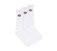 Dickies - Valley Grove Socks - Homme - Sous-vêtements - Blanc - Taille: XS