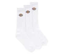 DICKIES VALLEY GROVE SOCKS (3-PACK) men Socks white taille: EU 43-46