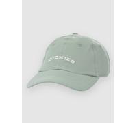 Dickies Wilsall Casquette vert Uni