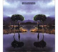 Dickinson, Bruce - Skunkworks