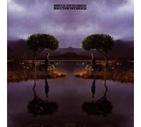 Dickinson Bruce - Skunkworks [Import]