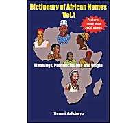 Dictionary of African Names Bunmi Adebayo (Auteur)
