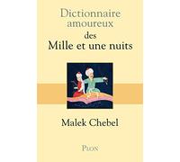 Dictionnaire amoureux des mille et une nuits