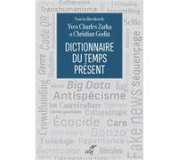 Dictionnaire du temps présent Collectif (Auteur), Christian Guérin (Auteur), Yves Charles Zarka (Editeur général)