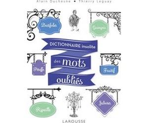 Dictionnaire insolite des mots oubliés Alain Duchesne (Auteur), Thierry Leguay (Auteur)