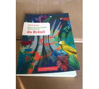 Dictionnaire insolite du Brésil