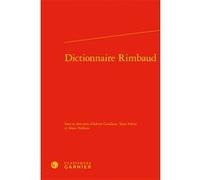 Dictionnaire Rimbaud Pierre Glaudes (Collection dirigée par), Didier Alexandre (Collection dirigée par), Violaine Giacomotto-Charra (Collection dirigée par), Adrien Cavallaro (Editeur du volume), Alai