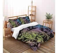 DICVXST 3D Scratch Art T-Rex Parure De Lit pour Garçon Et Adolescent 3 Pièces en Microfibre Sets Taies D'oreillers avec Fermeture Éclair King（220x240cm）