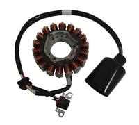 Did 163080 Stator Yamaha 250 Ie X-Max/X-City