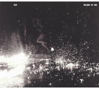Did - Belong to You [Import]
