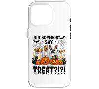 Did Somebody Say Treat Ghost Dogs Lovers Funny Halloween Coque pour iPhone 16 Pro