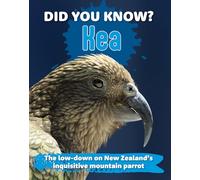 Did You Know? Kea: The low-down on New Zealand's inquisitive mountain parrot