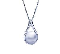 DiDiBirDi S925 Collier pour cendres en argent sterling pour femme, pendentif urne avec entonnoir et chiffon en argent, cadeau commémoratif, 46cm, Argenté