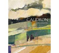 Didier Caudron, vers l'essentiel - Didier Caudron - Lelivredart - broché - Monographie
