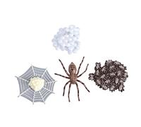 Didiseaon 1 Ensemble Modèle de Vie Insecte Décorations de Fête Éducatives pour Garçon Fille Simulation des de Vie de Araignée Coccinelle Tarentule et Abeille