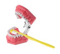 Didiseaon 1 Ensemble Modèle d'enseignement oral outil d'enseignement du brossage des dents modèle de bouche modèle d'enseignement modèle de brossage Plastique