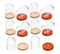 Didiseaon 10 pièces Cloche Verre pour Plantes avec Base Ensemble de Cloche Décorative pour Fleurs et Design Élégant et Pratique Parfait pour Décoration Intérieure Vitrines