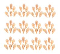 Didiseaon 100pièces Breloques Mer Plage Breloques Été Conque pour Création Bijoux Colliers Bracelets