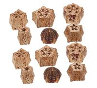 Didiseaon 12 pièces Jouets à Mordre Naturels pour Oiseaux Jouets de Déchirement pour Perroquets Budgies et Autres Oiseaux de Compagnie