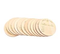 Didiseaon 13Pièces Disques de Jalons pour Accessoires Photo Mensuels pour Nouveaux Parents