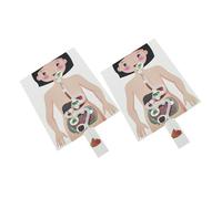 Didiseaon 2 Ensembles Kit Éducatif DIY Modèle du Système Digestif Humain pour Garçon Fille Scientifique Expérimental Stimulant la Motricité Fine Curiosité Fournitures de Bricolage