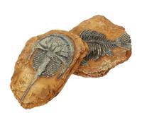 Didiseaon 2 pièces Décorations Reptiles Résine Simulation Fossiles pour Terrarium Ornements de Paysage Reptile Accessoires Aquarium Lézard