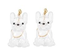 Didiseaon 2 Pièces Porte-clés Mini Rangement Transparent pour Poils de Chien Capsule Souvenir Commémorative pour Poils Animaux Pendentif Mémoire pour Maîtres de Chiens Lot