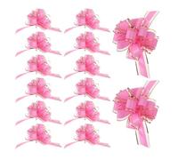 Didiseaon 20 Pièces Nœud à Tirer Rose 7 Pouces en Plastique pour