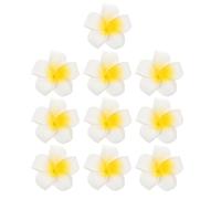 Didiseaon 24 Pièces Pinces Cheveux Fleur Frangipanier Style Hawaien Accessoires Cheveux Fleurs Tropiques Artificielles Bohemian