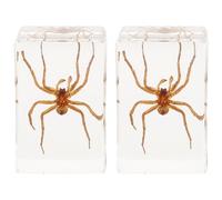 Didiseaon 2pcs Décoration D'insectes en Résine Transparente Marron, Ornement Araignée Décoratif Multifonction pour Décoration de Table à Domicile