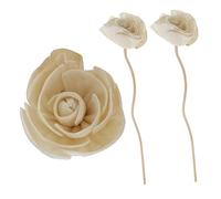 Didiseaon 3 pièces Bâtonnets Diffuseur Fleur Rotin Naturel pour Huile Essentielle Parfumée Bâtons Aroma pour Spa Décoration et Diffusion Ambiance